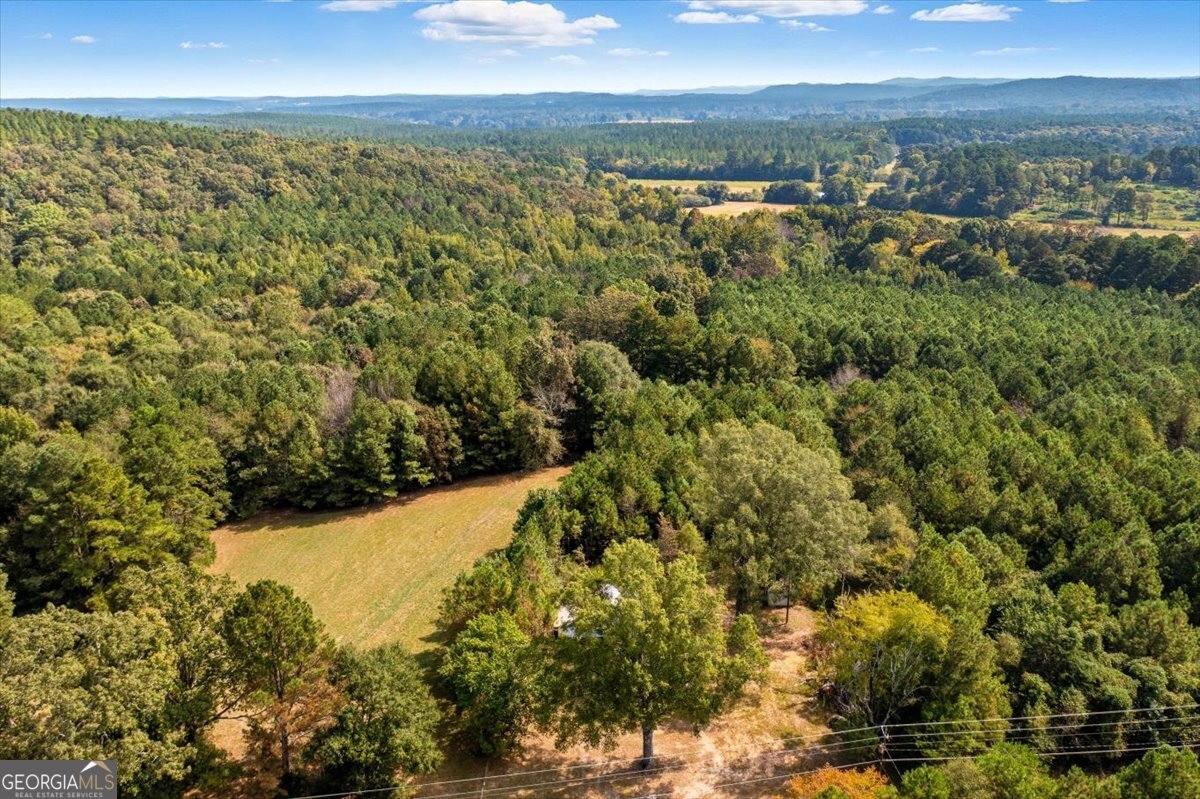 4267 Buchanan Highway Buchanan GA 30113