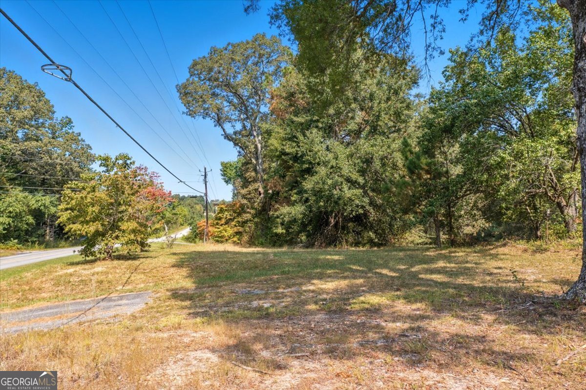 4267 Buchanan Highway Buchanan GA 30113