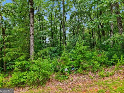 Lot 11 Weeks Drive Ellijay GA 30540