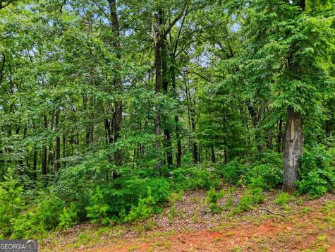 Lot 11 Weeks Drive Ellijay GA 30540