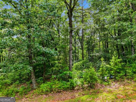 Lot 11 Weeks Drive Ellijay GA 30540