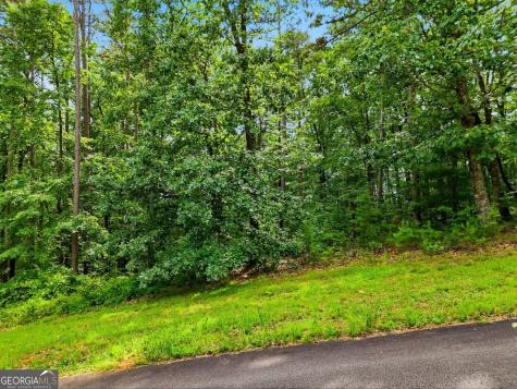 Lot 11 Weeks Drive Ellijay GA 30540
