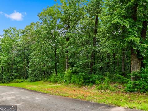 Lot 11 Weeks Drive Ellijay GA 30540