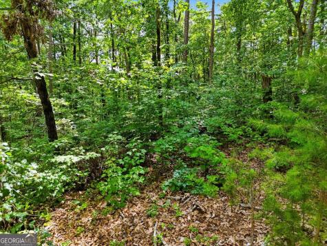 Lot 11 Weeks Drive Ellijay GA 30540