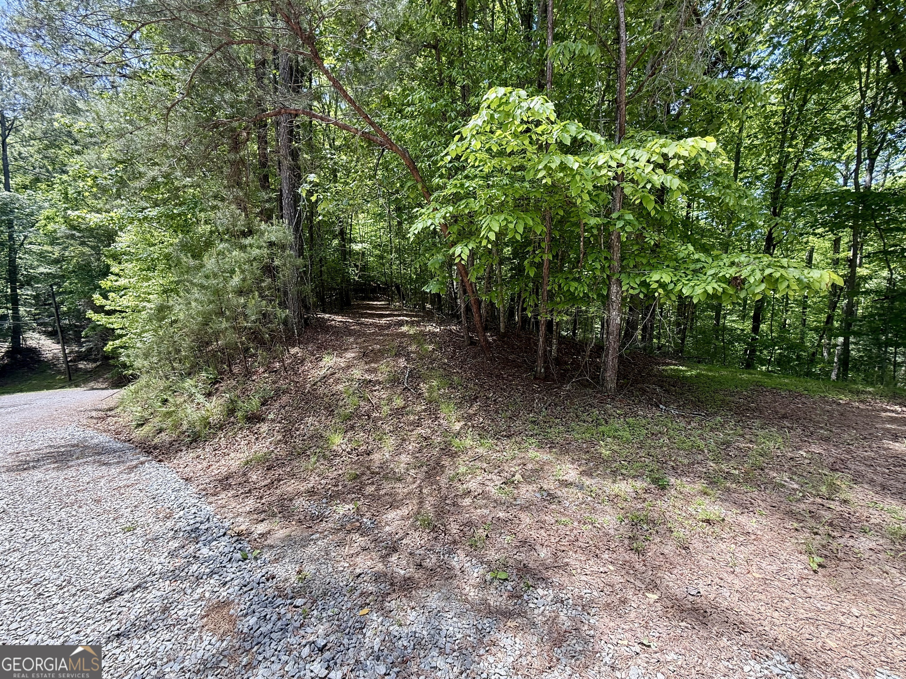 0 Nectar Lane Ellijay GA 30540