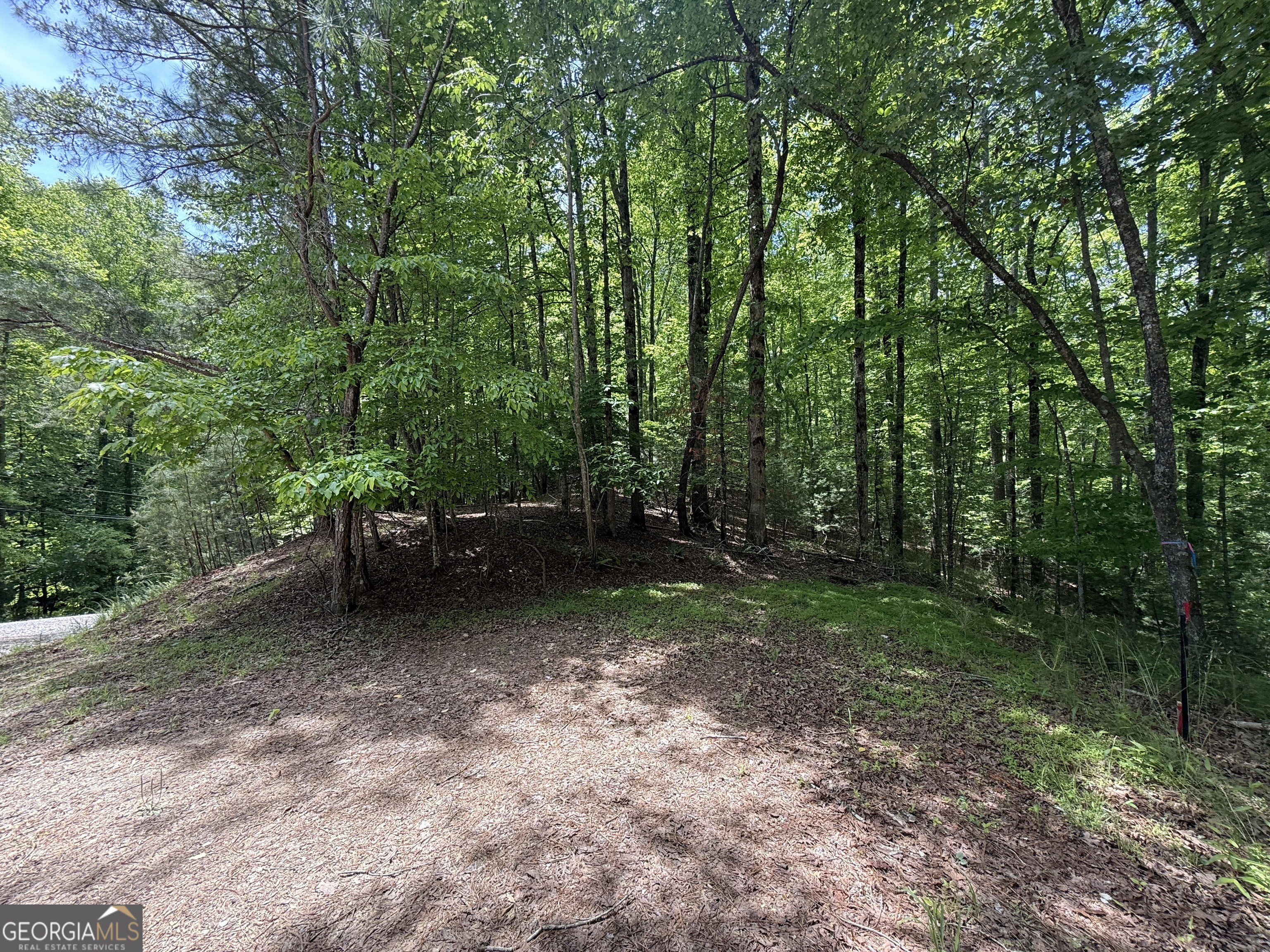 0 Nectar Lane Ellijay GA 30540