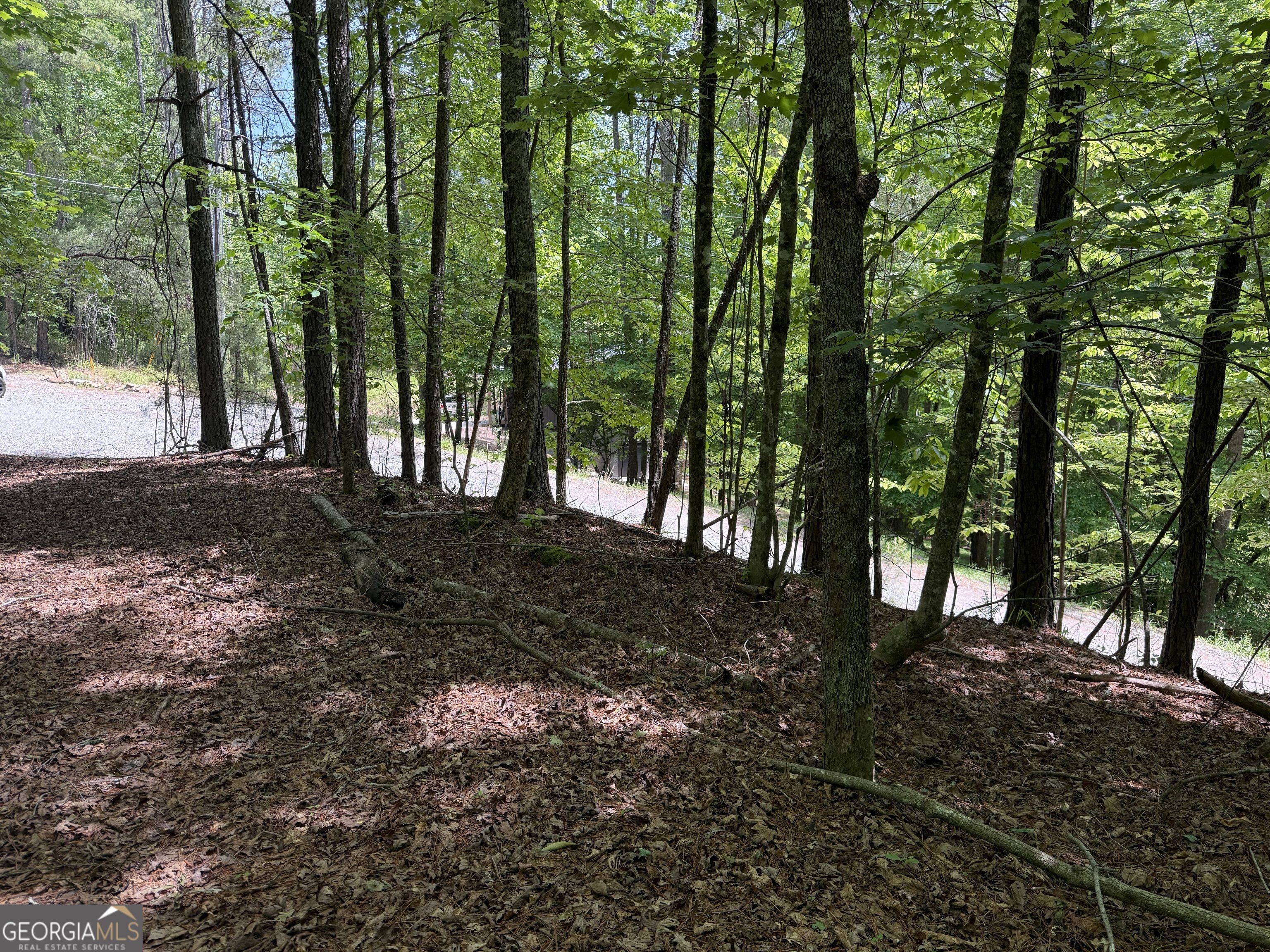 0 Nectar Lane Ellijay GA 30540
