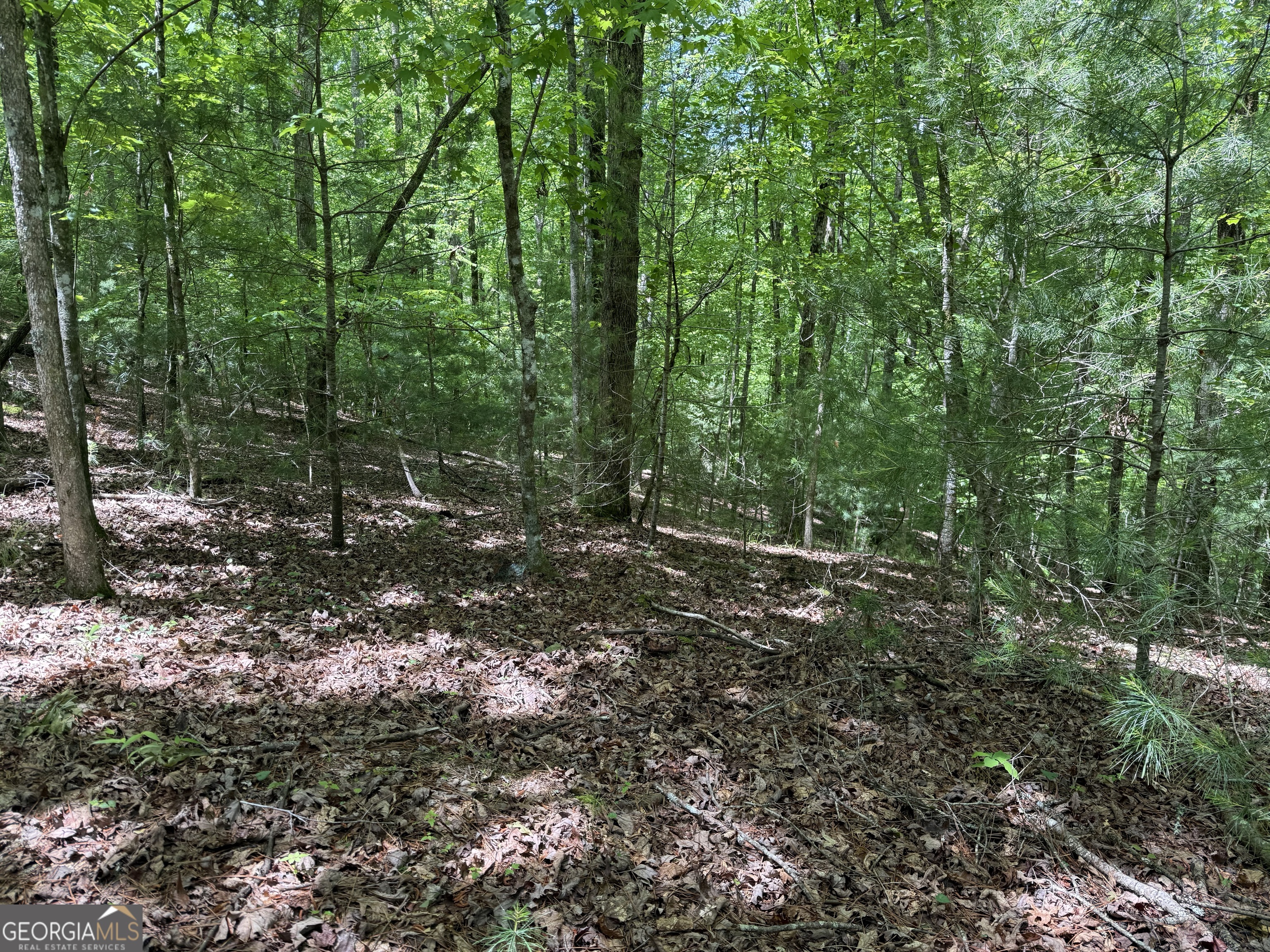 0 Nectar Lane Ellijay GA 30540
