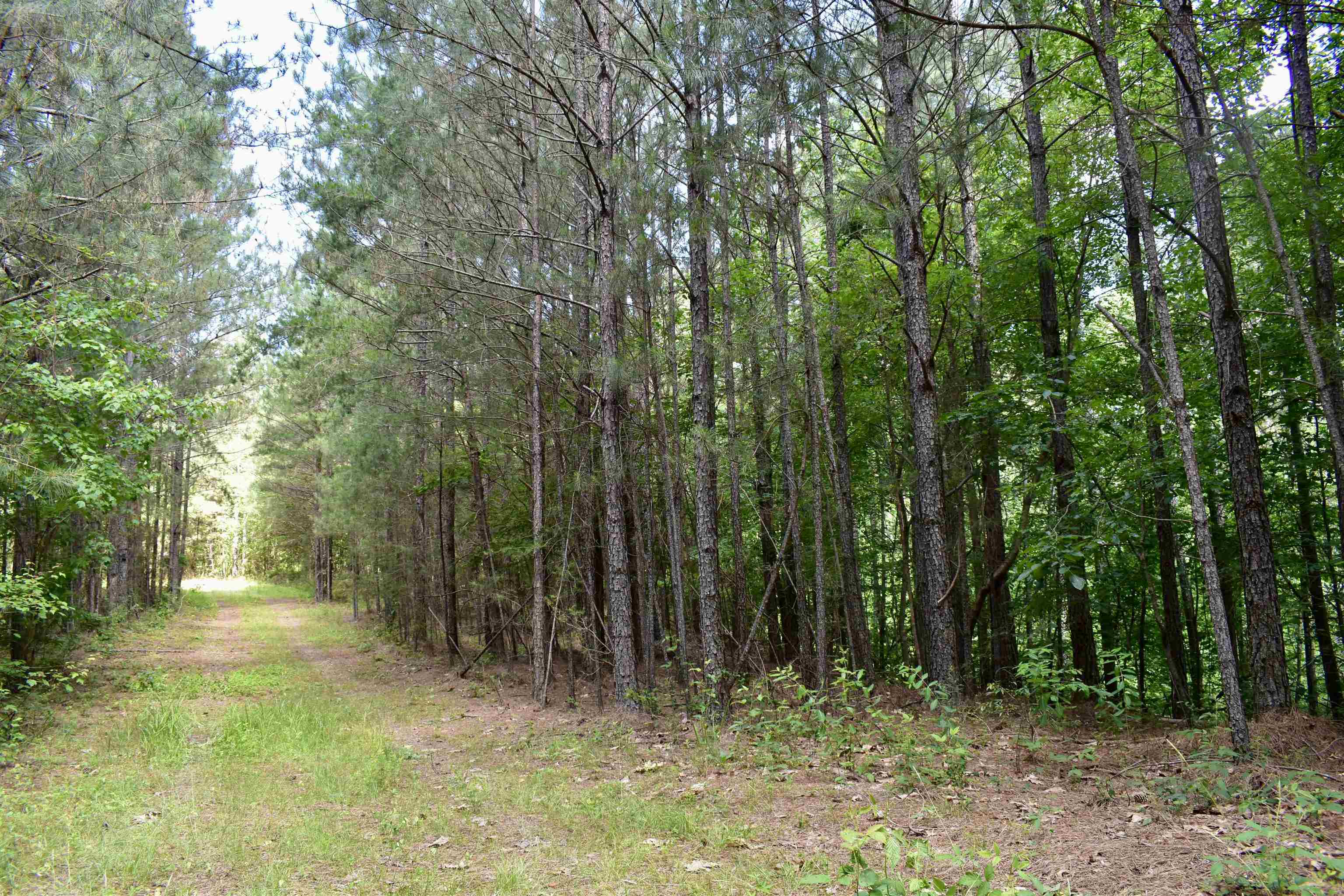 0 Nickelsville Road Ranger GA 30734