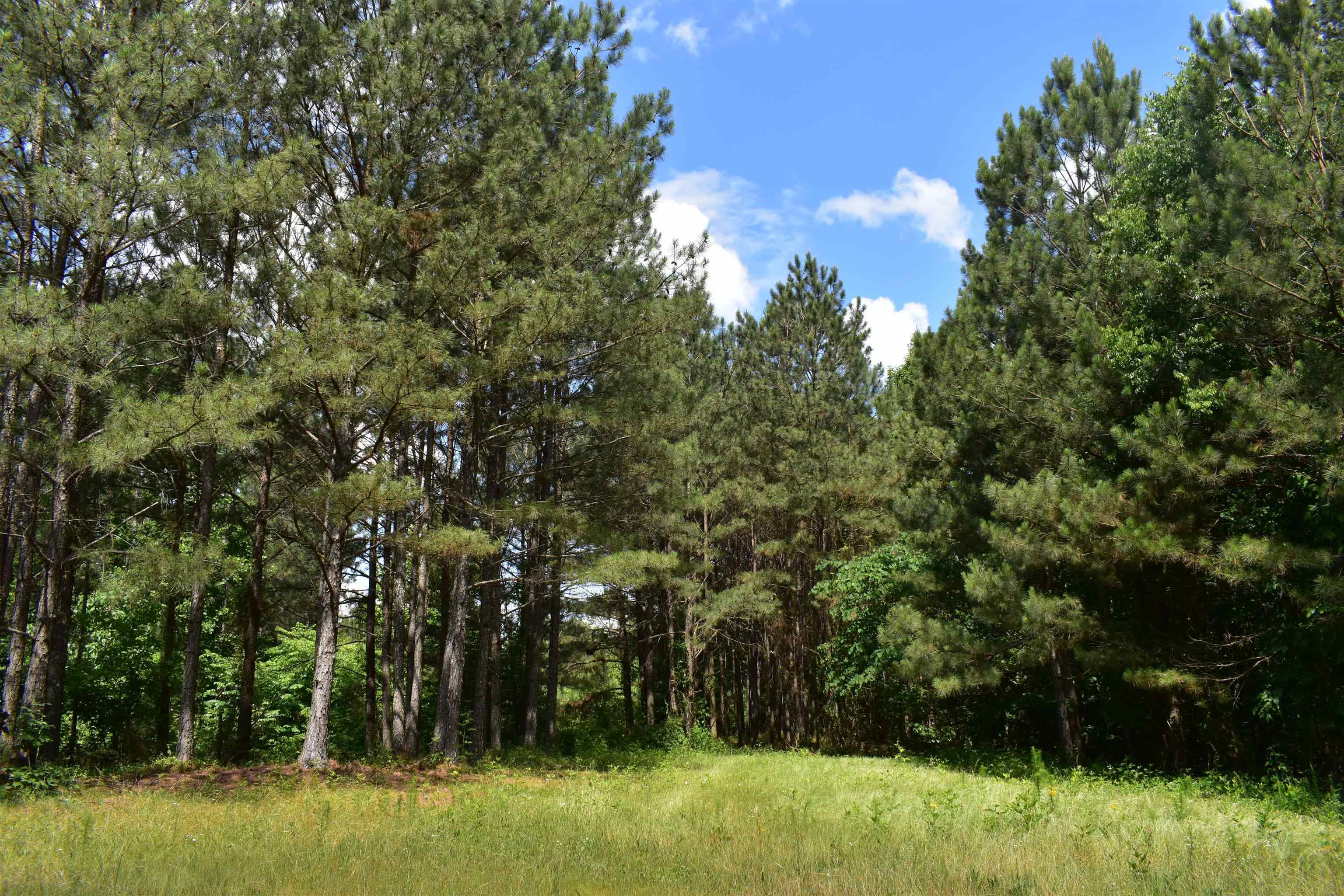 0 Nickelsville Road Ranger GA 30734