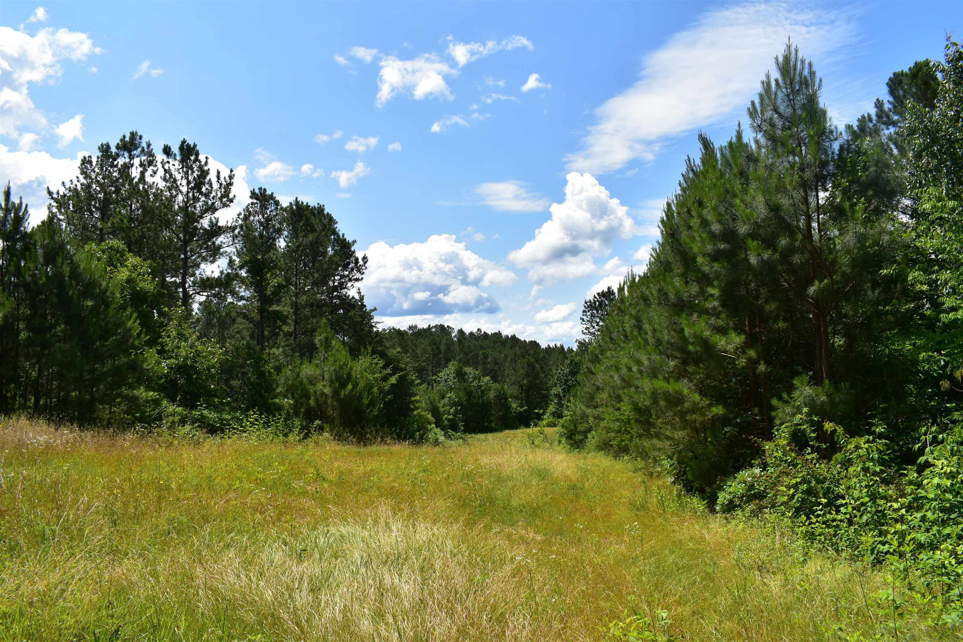 0 Nickelsville Road Ranger GA 30734