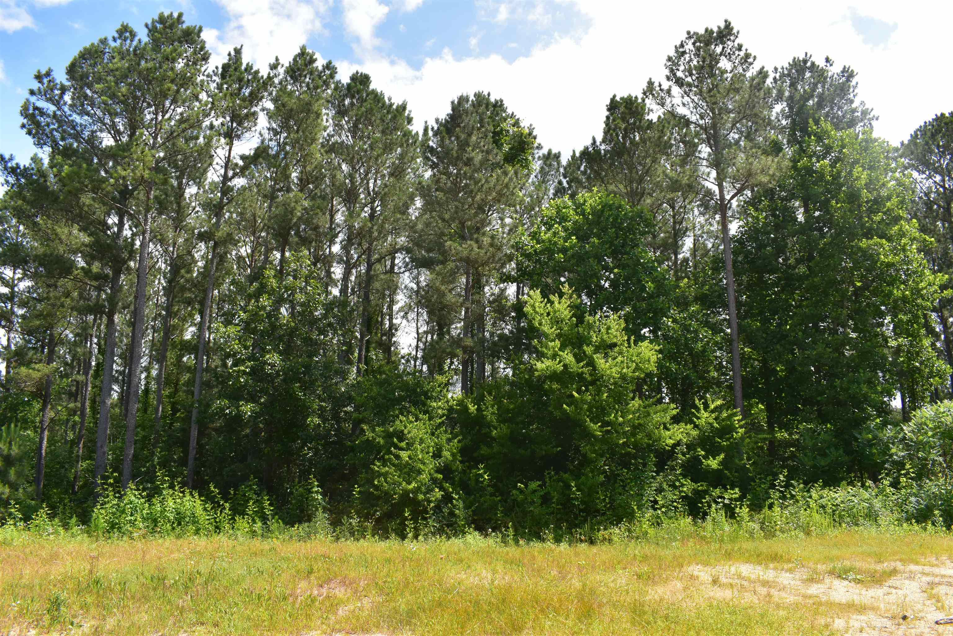 0 Nickelsville Road Ranger GA 30734