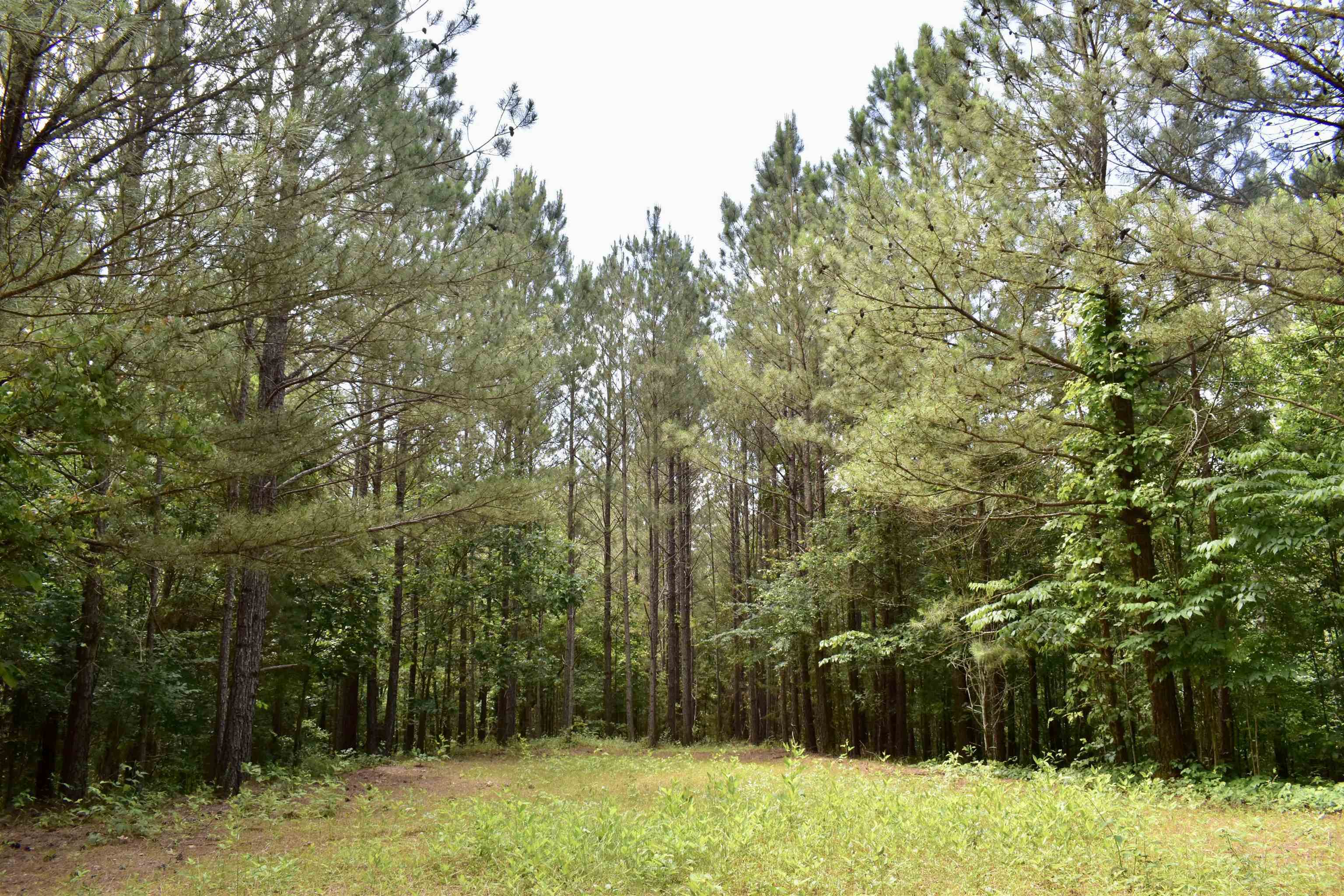 0 Nickelsville Road Ranger GA 30734