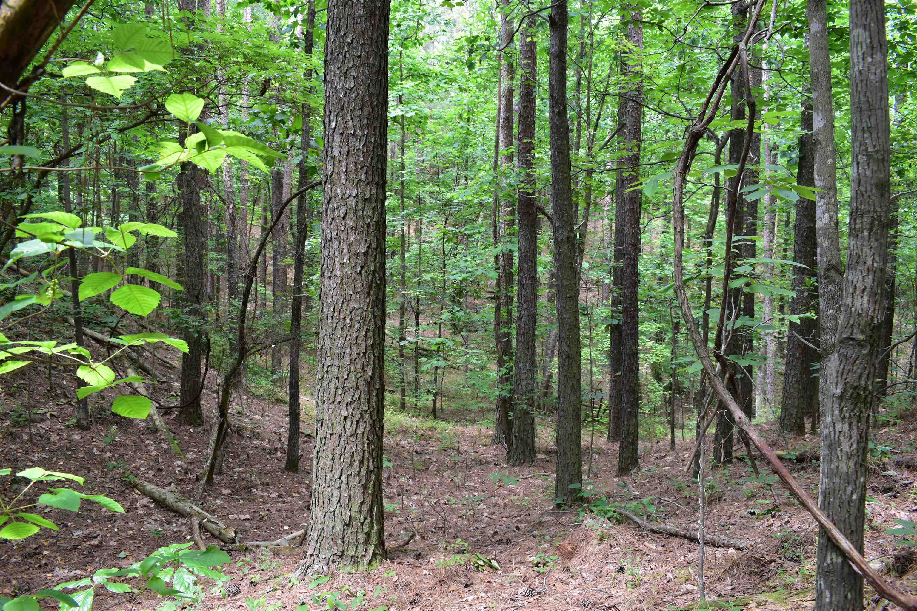0 Nickelsville Road Ranger GA 30734