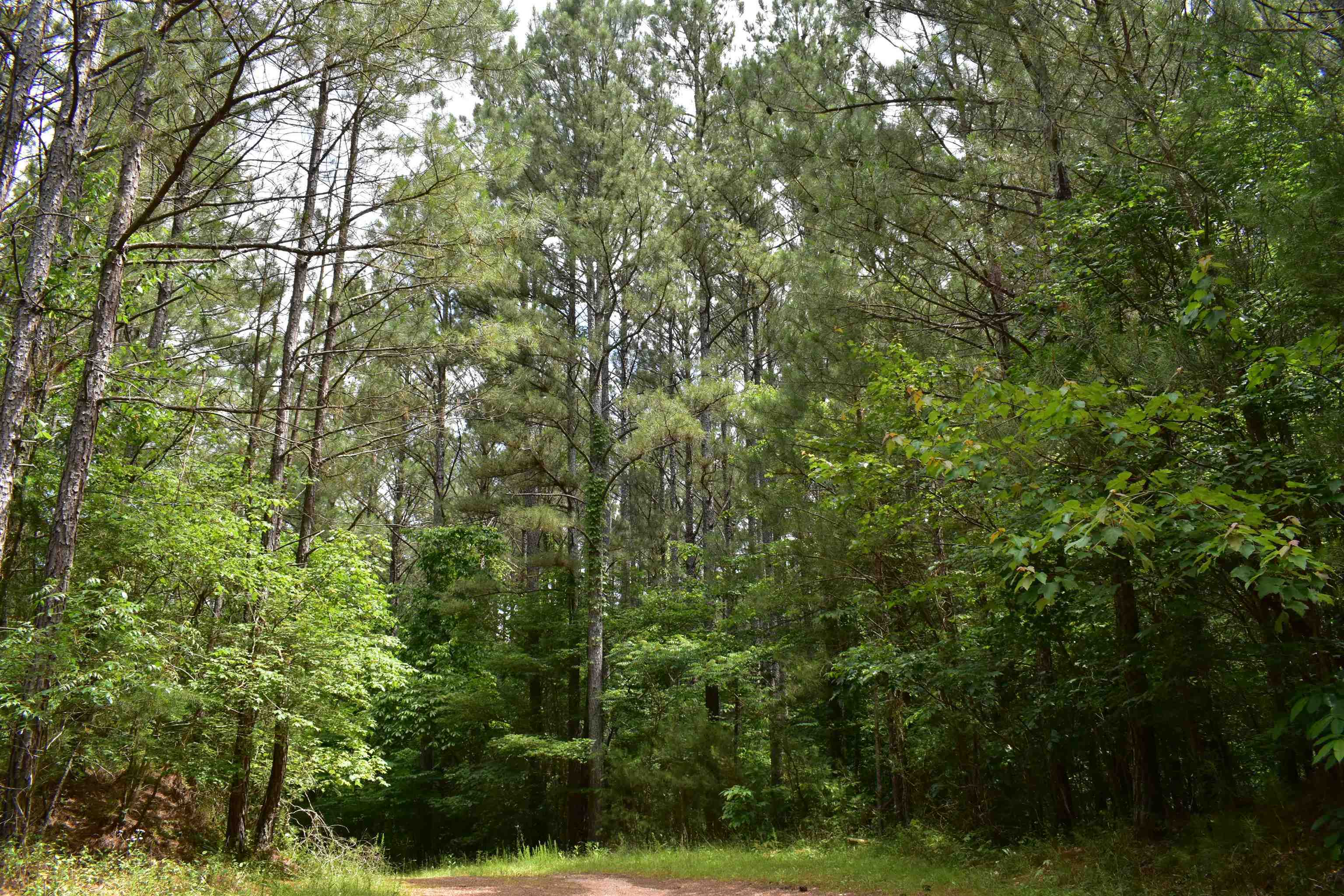 0 Nickelsville Road Ranger GA 30734