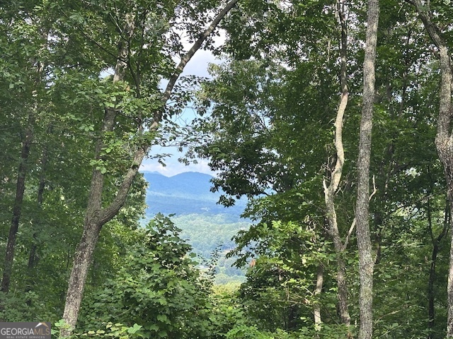 Lt 64/65 Rocky Knob Estates Young Harris GA 30582
