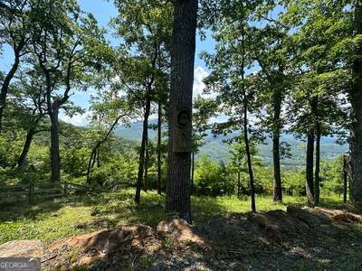 Lt 64/65 Rocky Knob Estates Young Harris GA 30582