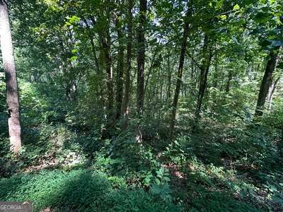Lt 64/65 Rocky Knob Estates Young Harris GA 30582