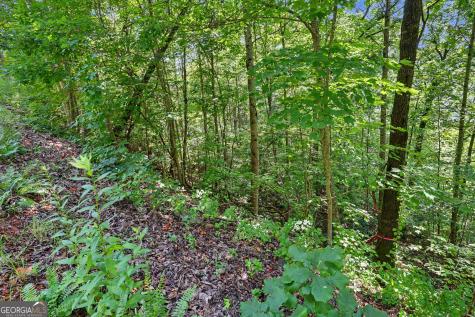 0 Waterfall Drive 5d Clayton GA 30525