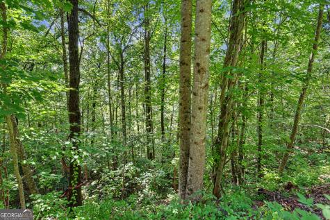 0 Waterfall Drive 5d Clayton GA 30525