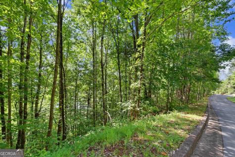 0 Waterfall Drive 5d Clayton GA 30525