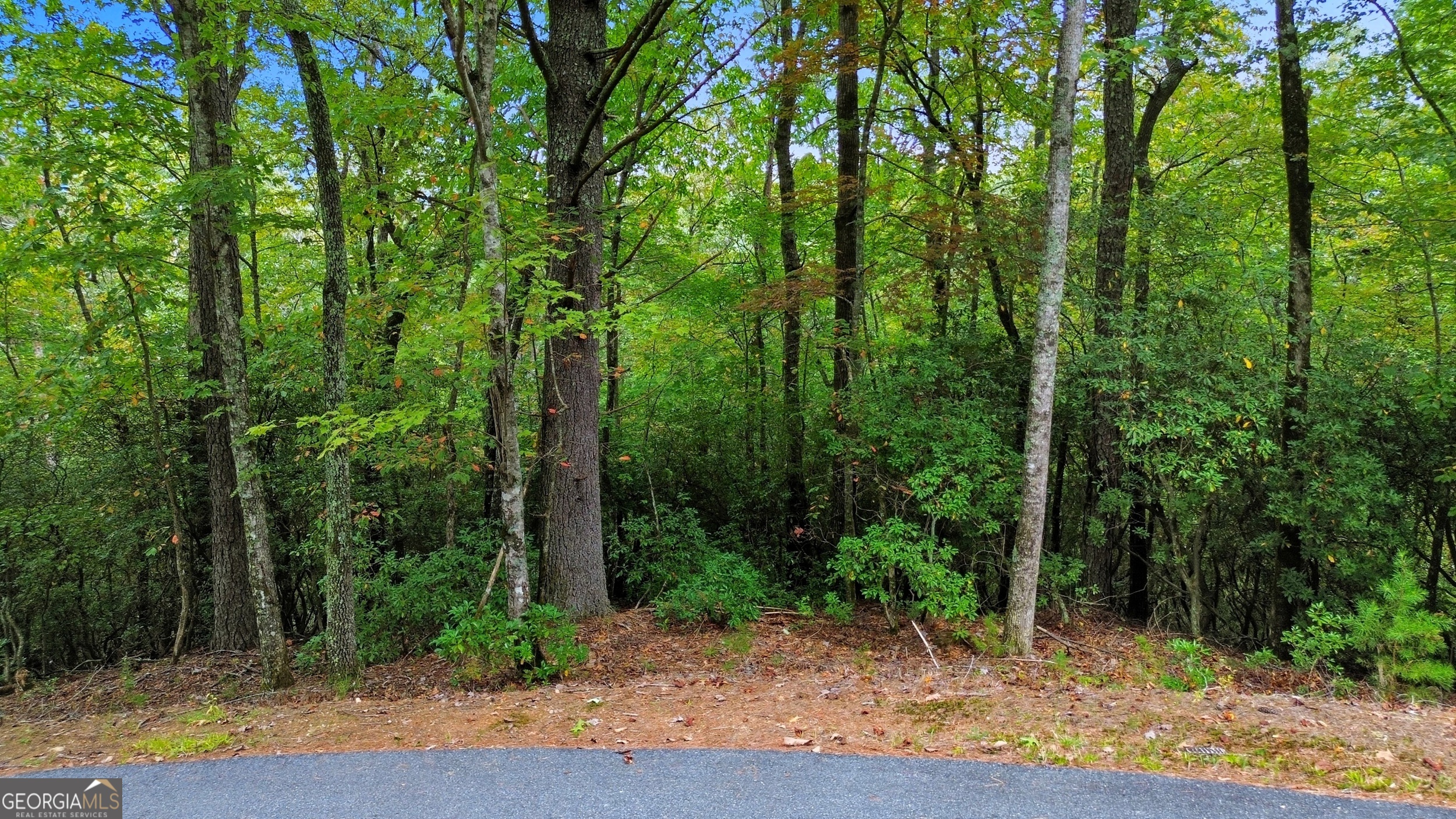 0 Grimes Nose Sautee Nacoochee GA 30571