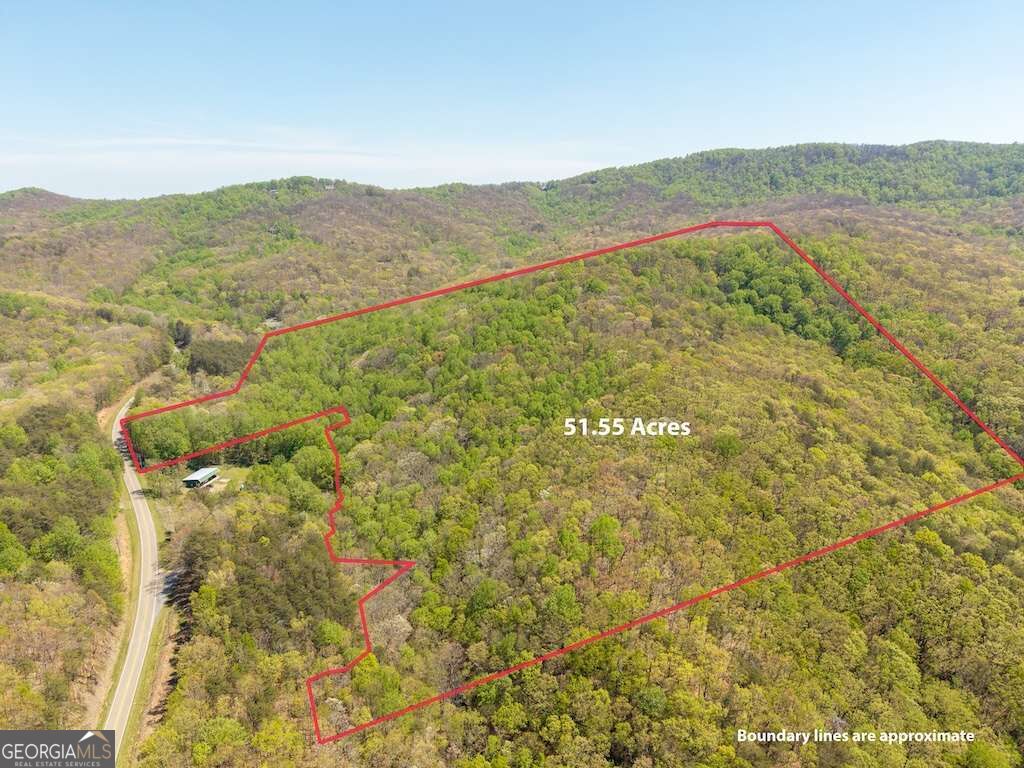 000 Burnt Mountain Road Ellijay GA 30536