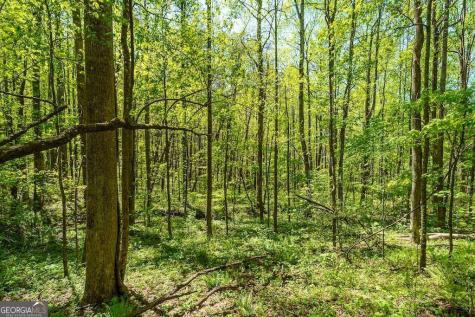 000 Burnt Mountain Road Ellijay GA 30536