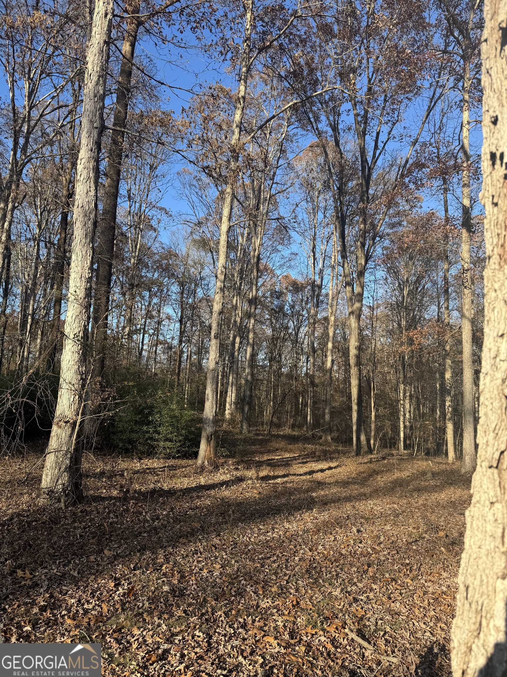 2671 Oakley Trail Statham GA 30666