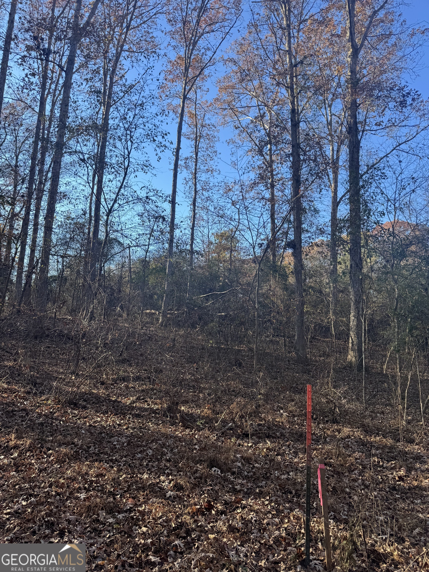 2671 Oakley Trail Statham GA 30666