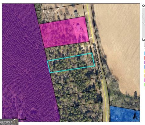 LOT 1 Harrison Davisboro Road Davisboro GA 31018
