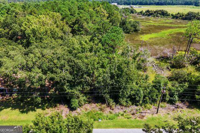 Lot 26c Washington Street St. Marys GA 31558