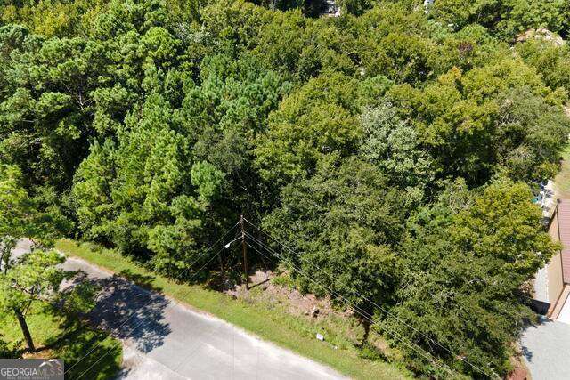 Lot 26c Washington Street St. Marys GA 31558