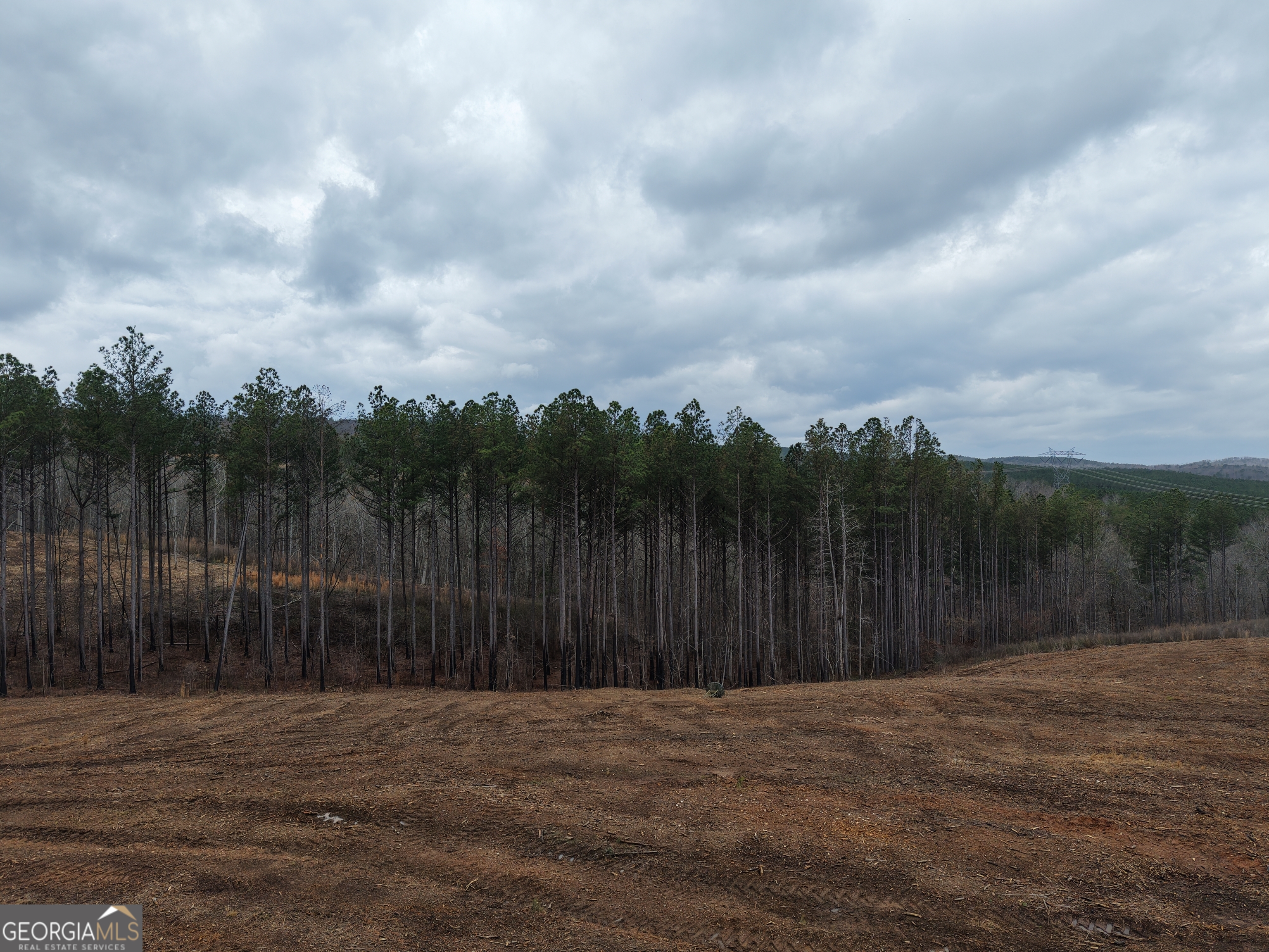 0 Johnson Mountain Road Rydal GA 30171