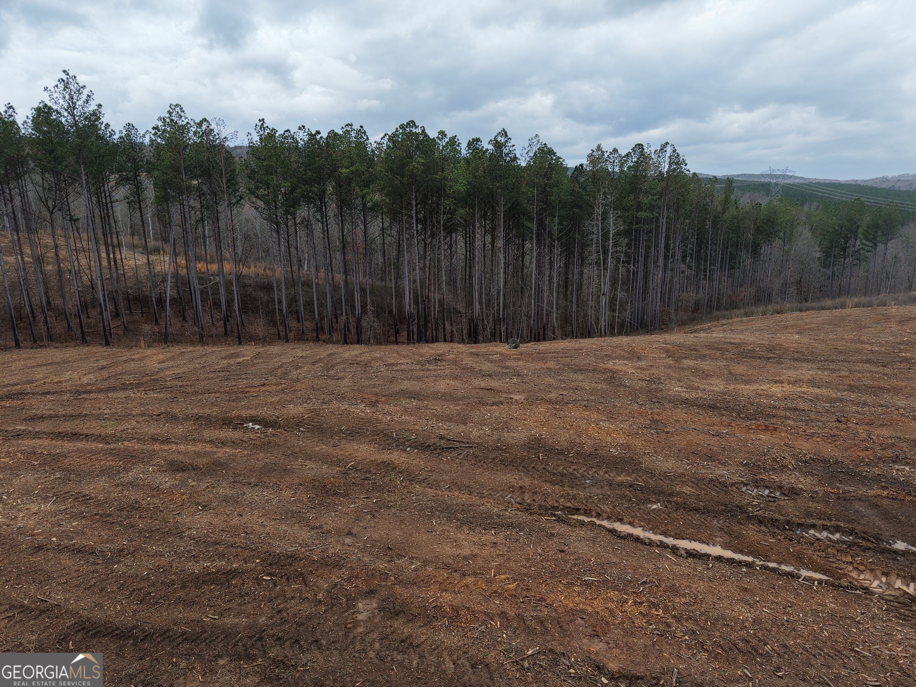 0 Johnson Mountain Road Rydal GA 30171