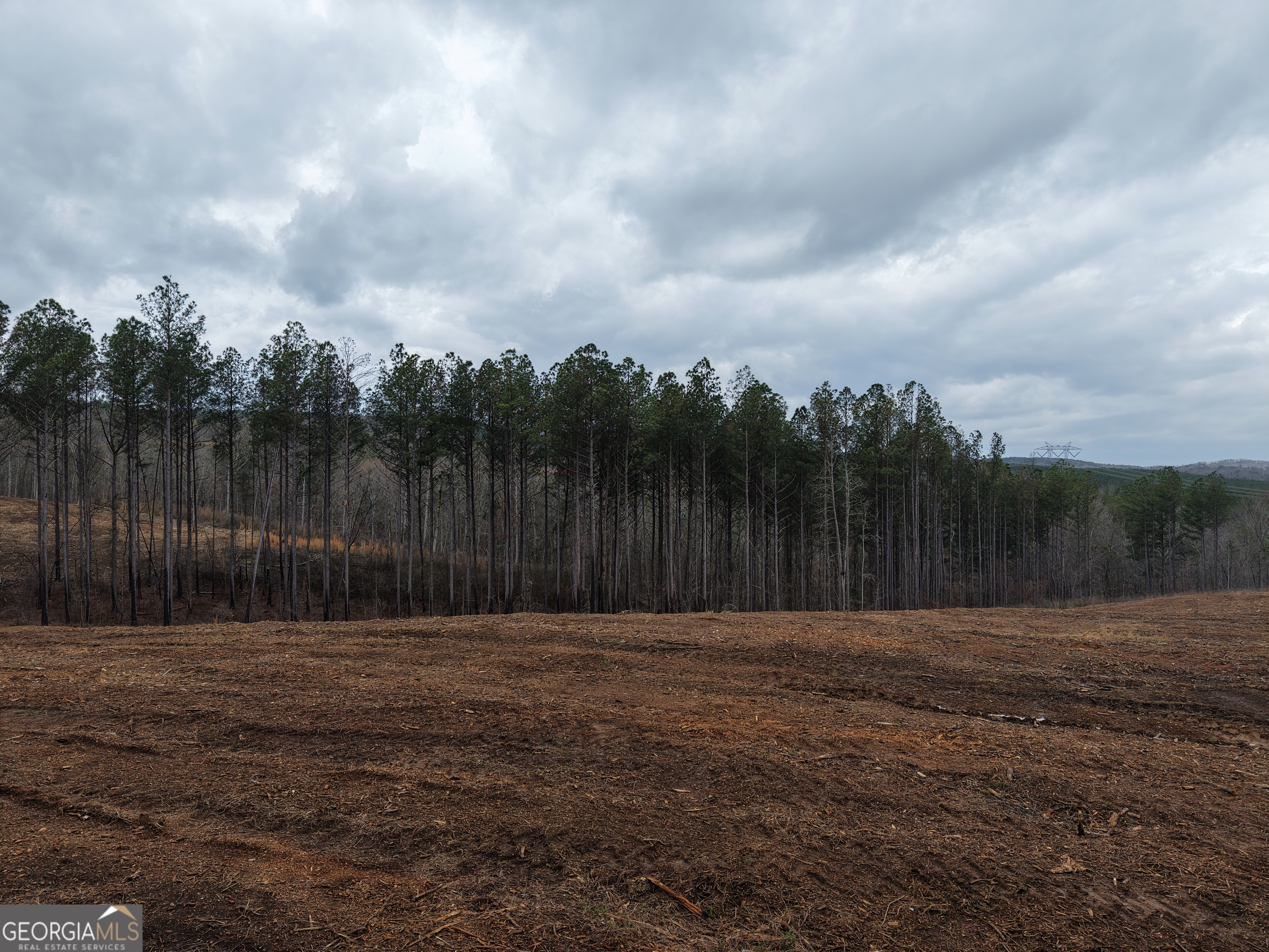 0 Johnson Mountain Road Rydal GA 30171