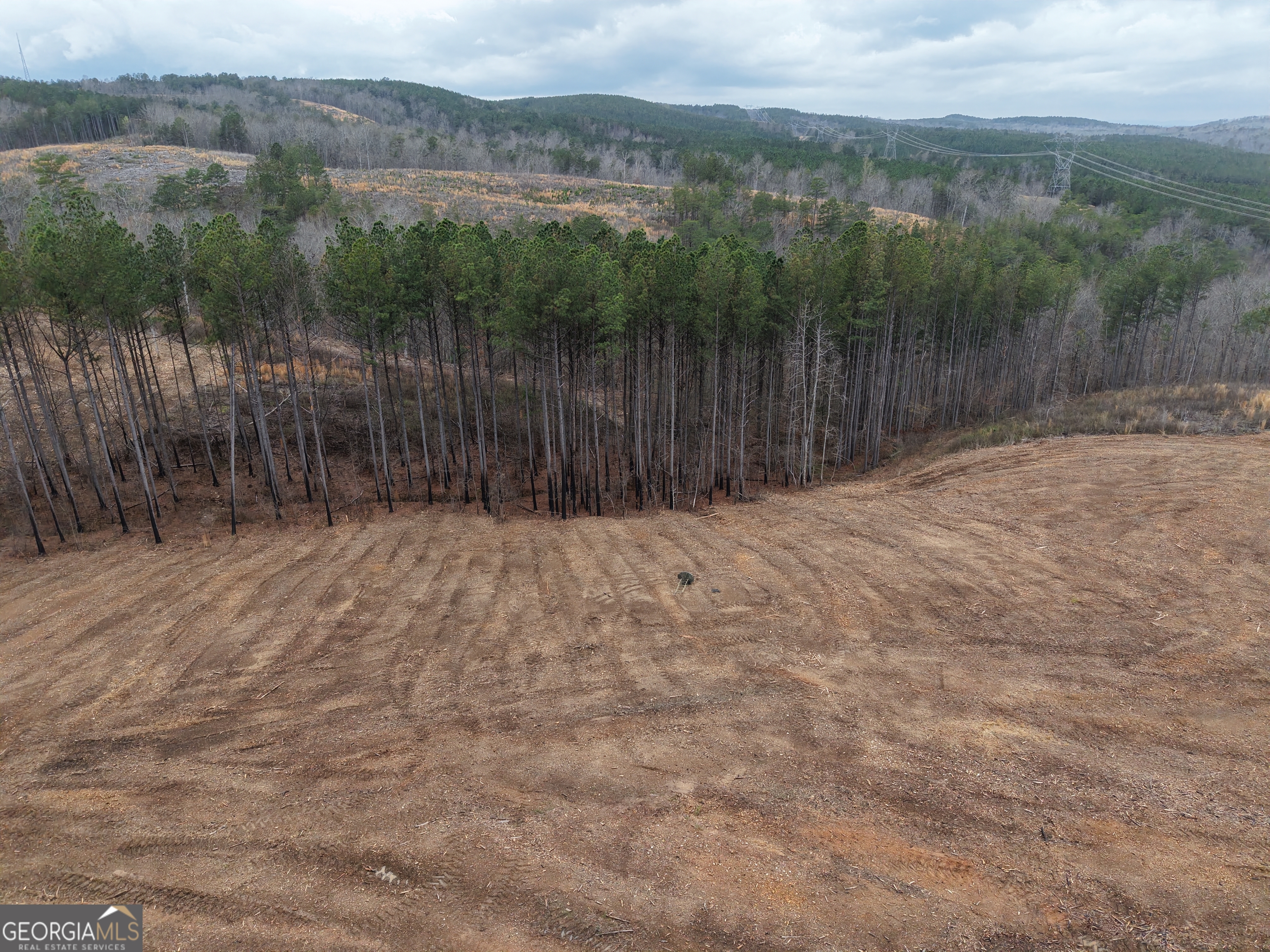 0 Johnson Mountain Road Rydal GA 30171