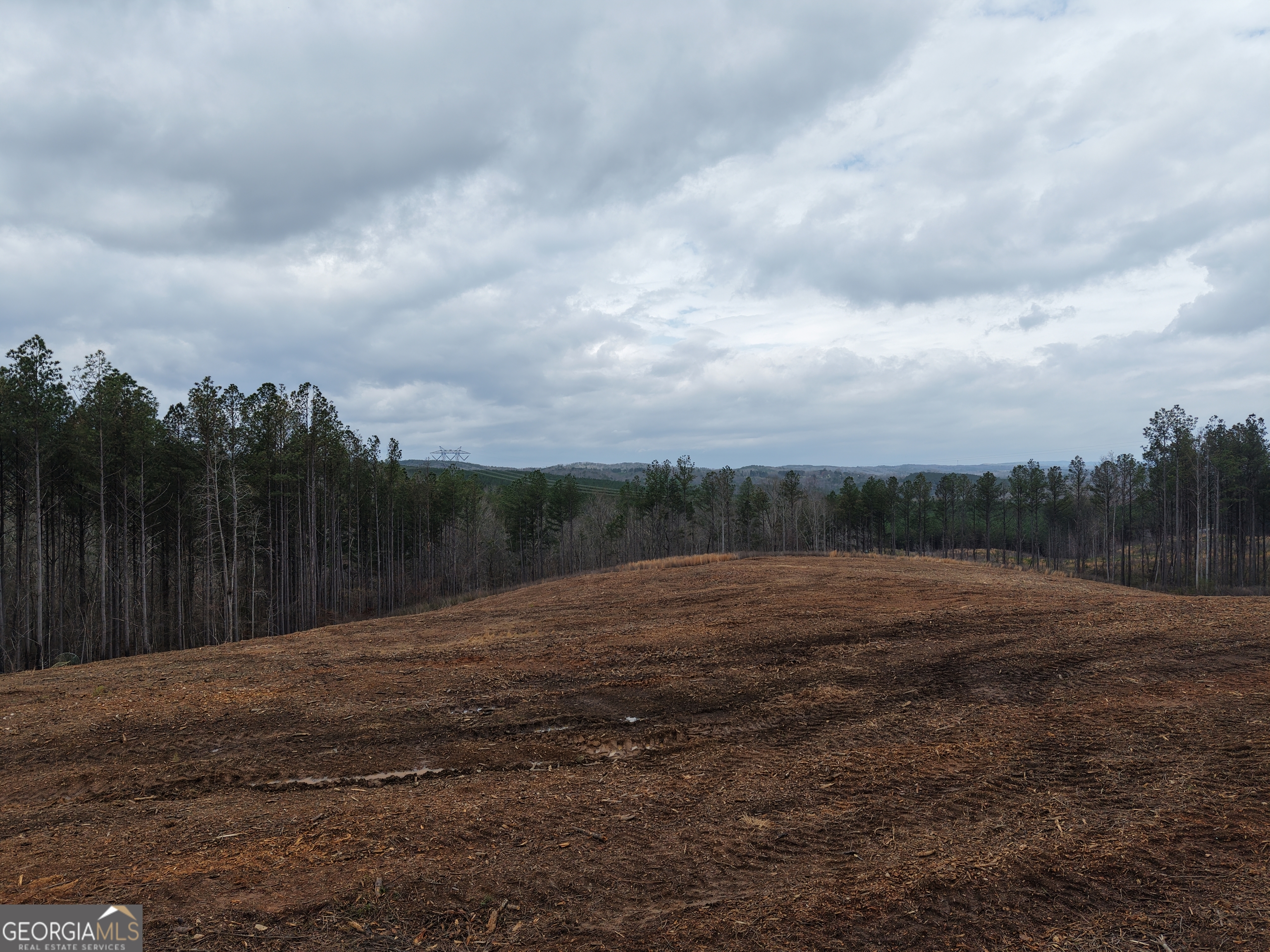 0 Johnson Mountain Road Rydal GA 30171