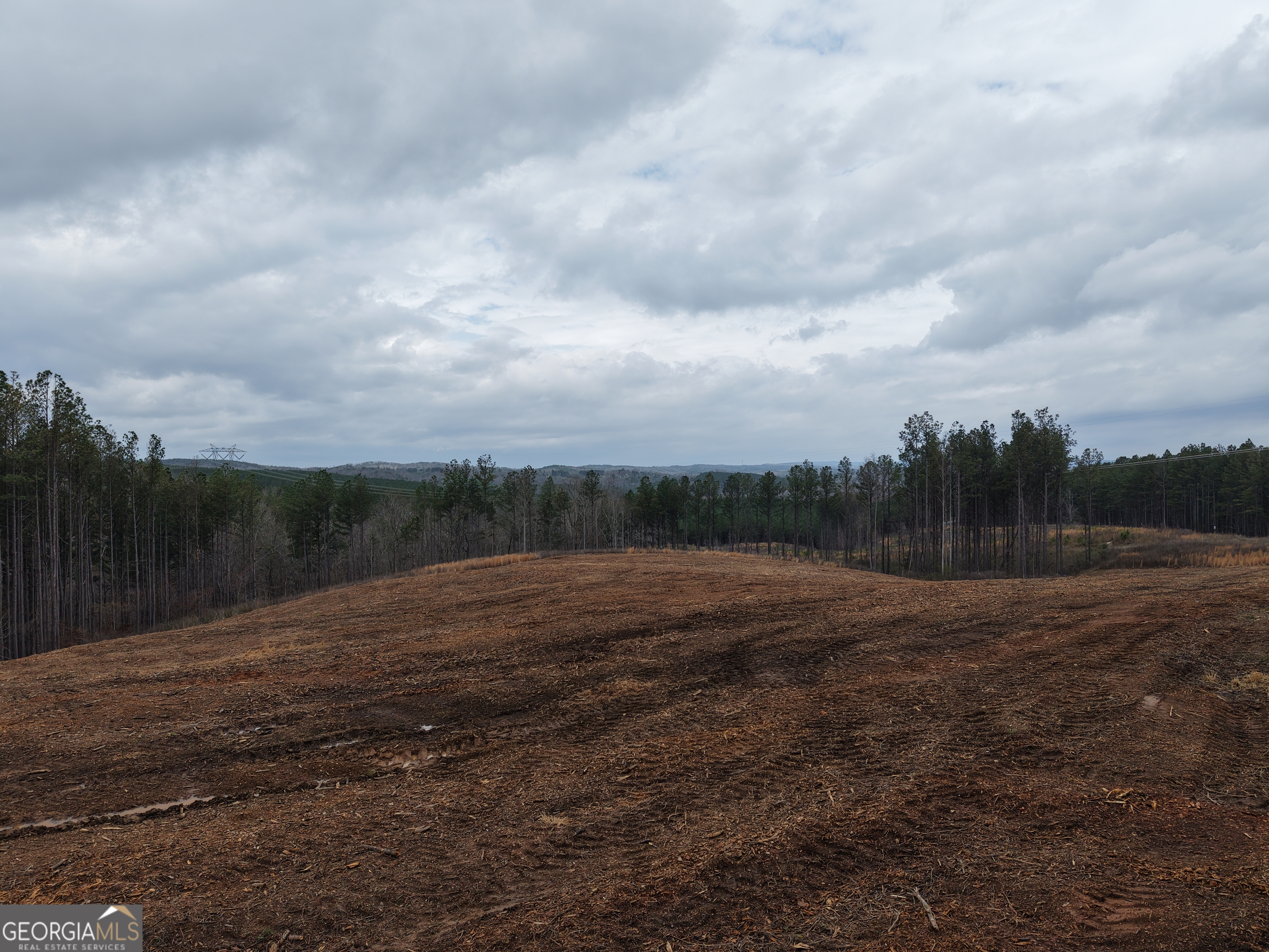 0 Johnson Mountain Road Rydal GA 30171