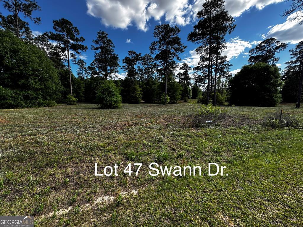 0 Swann Drive Lot 47 Block A Cordele GA 31015