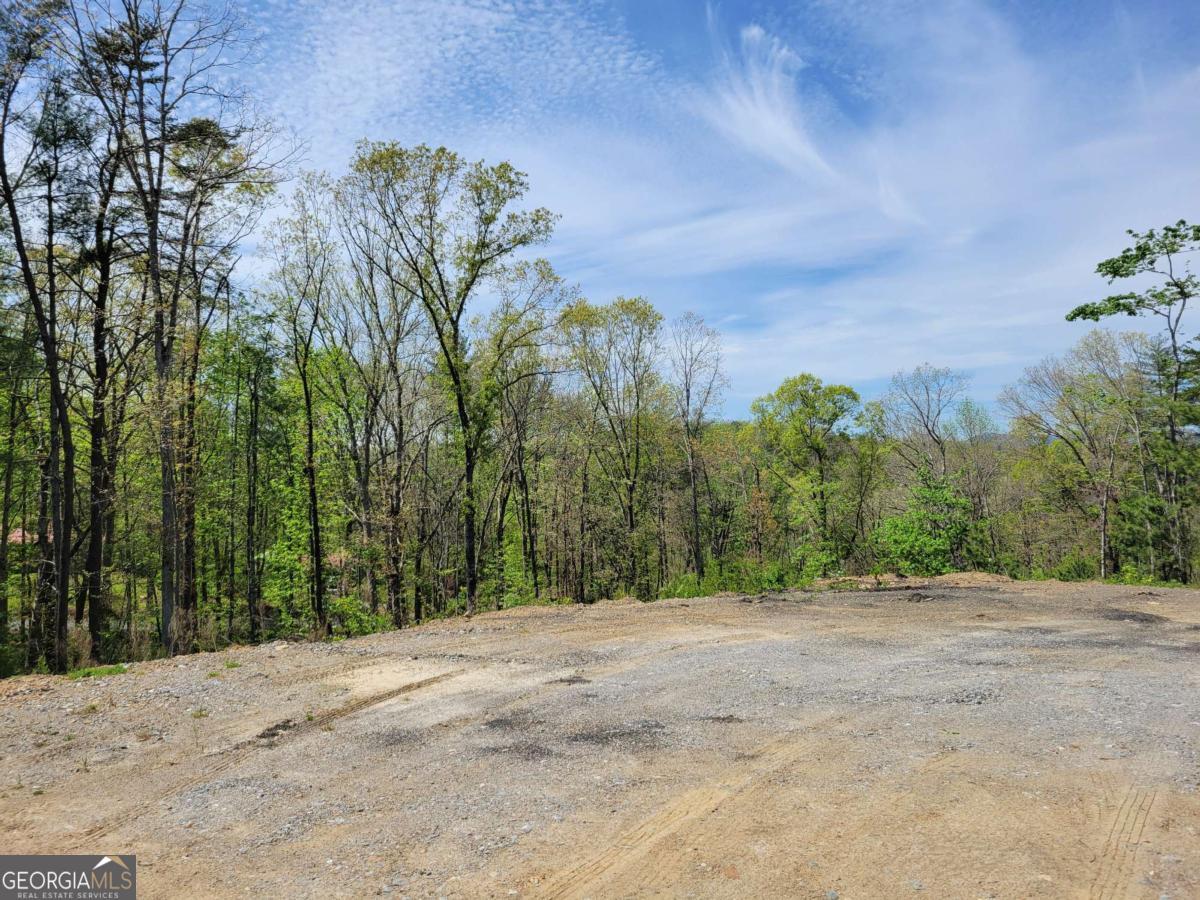 Tract 4 Old Northcutt Road Ellijay GA 30540