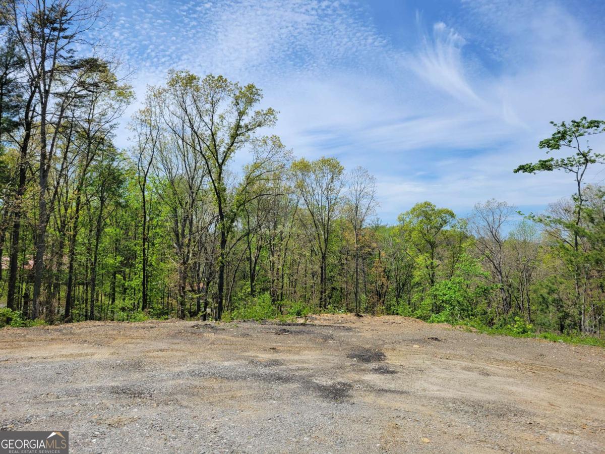 Tract 4 Old Northcutt Road Ellijay GA 30540