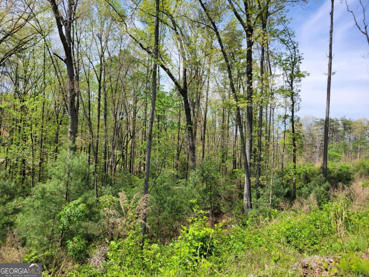 Tract 4 Old Northcutt Road Ellijay GA 30540