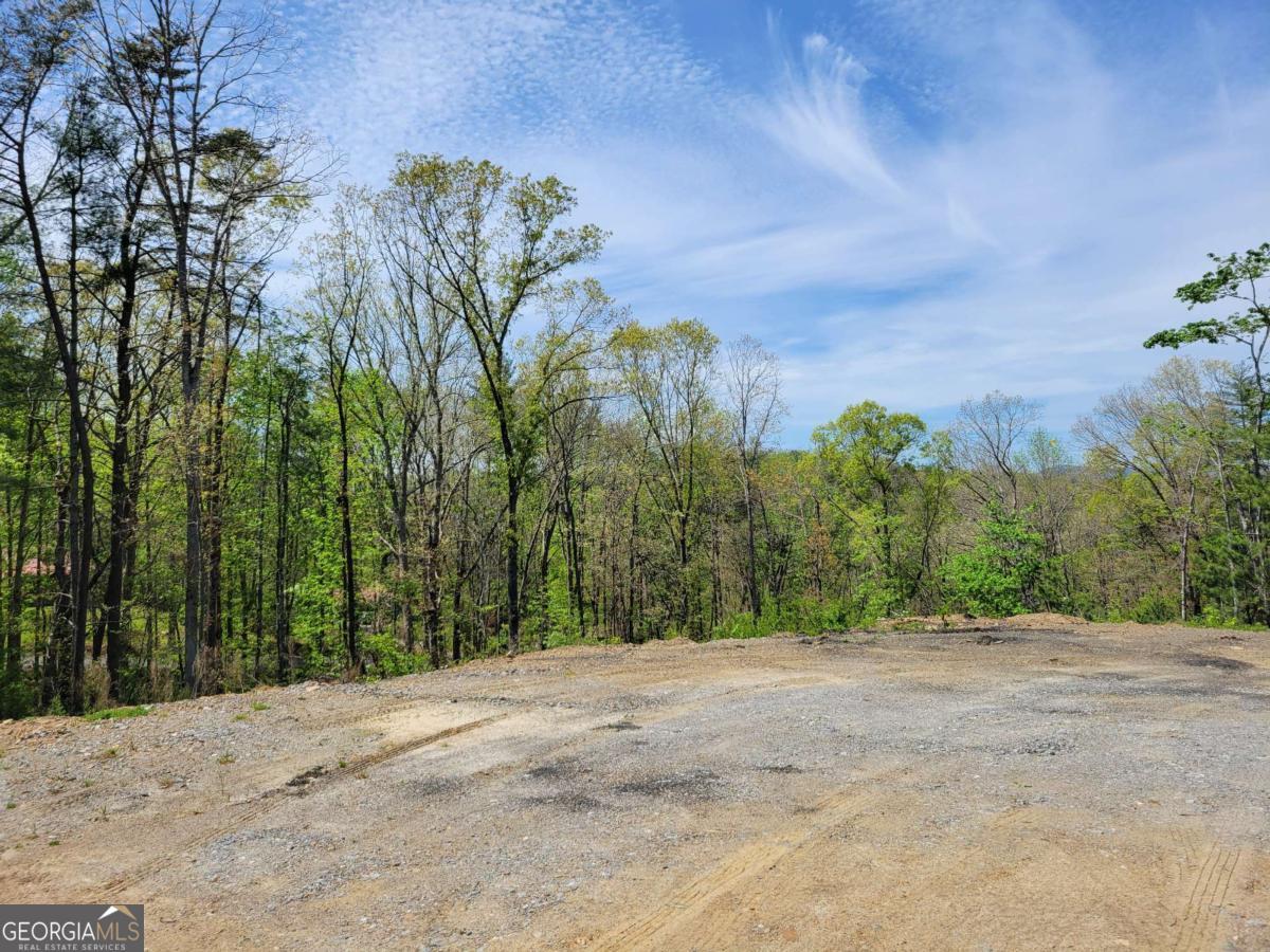 Tract 4 Old Northcutt Road Ellijay GA 30540