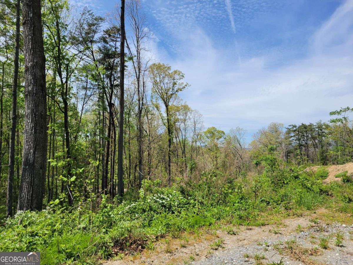 Tract 4 Old Northcutt Road Ellijay GA 30540