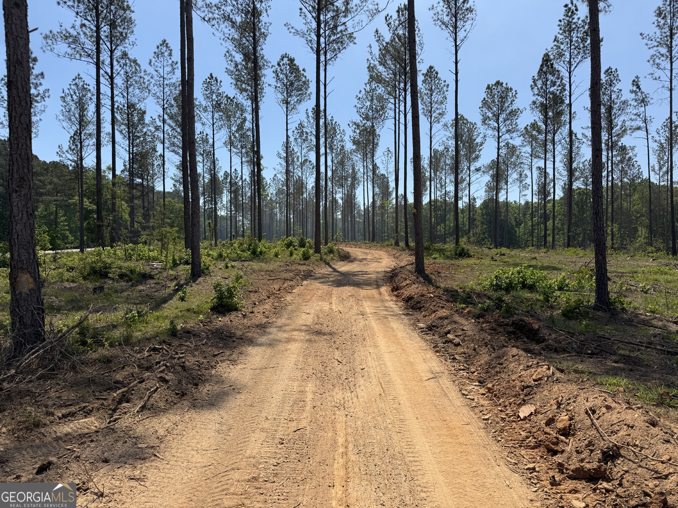 4 Lexington Estates - Highway 22 Lexington GA 30648