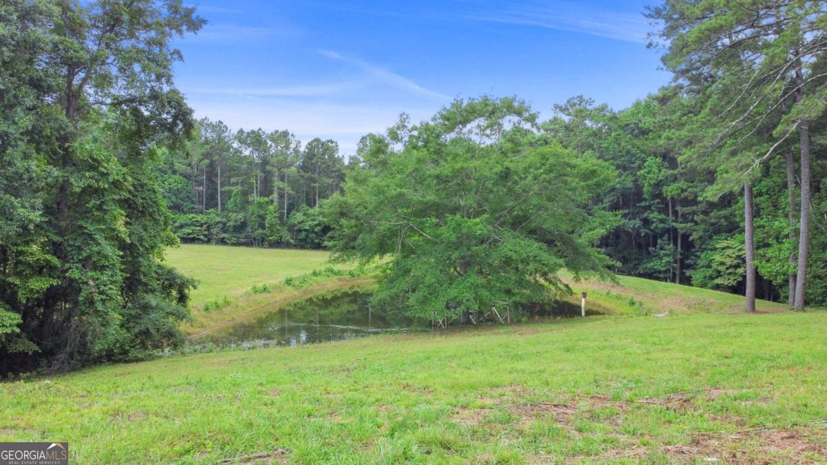 0 Hutcheson Ferry Road Chattahoochee Hills GA 30268