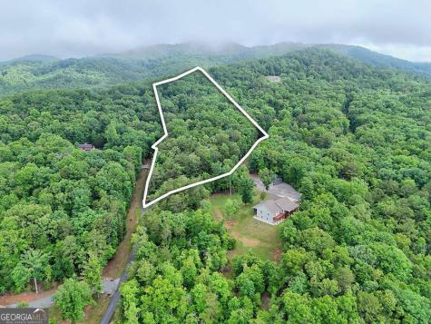 Lt 16,19 Pheasant Trail Warne NC 28909