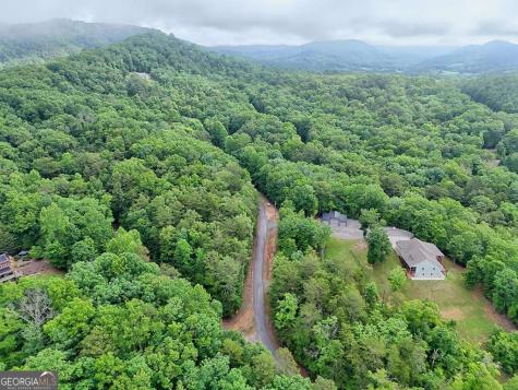 Lt 16,19 Pheasant Trail Warne NC 28909