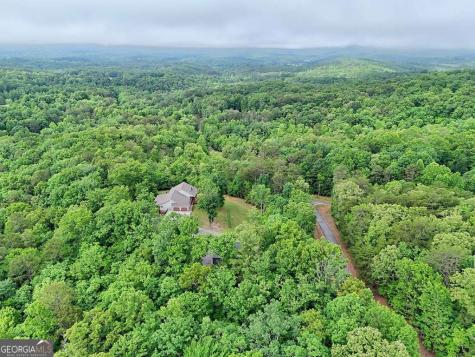 Lt 16,19 Pheasant Trail Warne NC 28909
